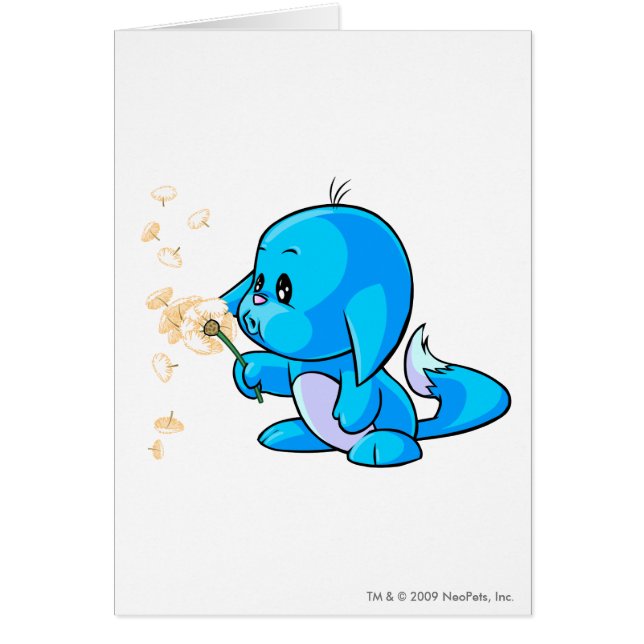 Azul de Kacheek (Frente)