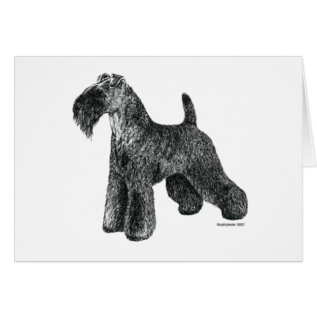 Azul de Kerry Terrier (Anverso (Horizontal))