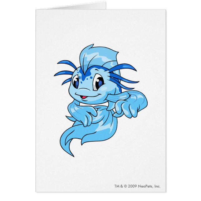 Azul de Koi (Frente)