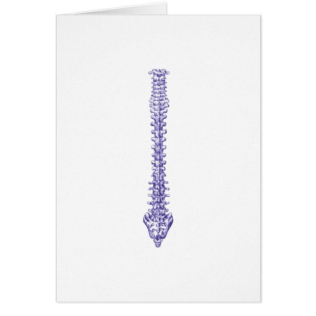 Azul de la espina dorsal (Frente)