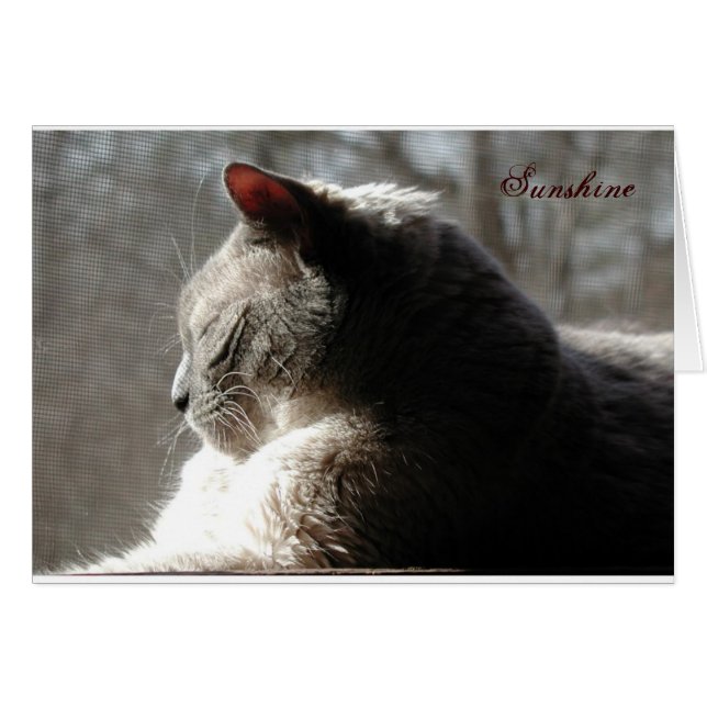 Azul de la sol (Anverso (Horizontal))