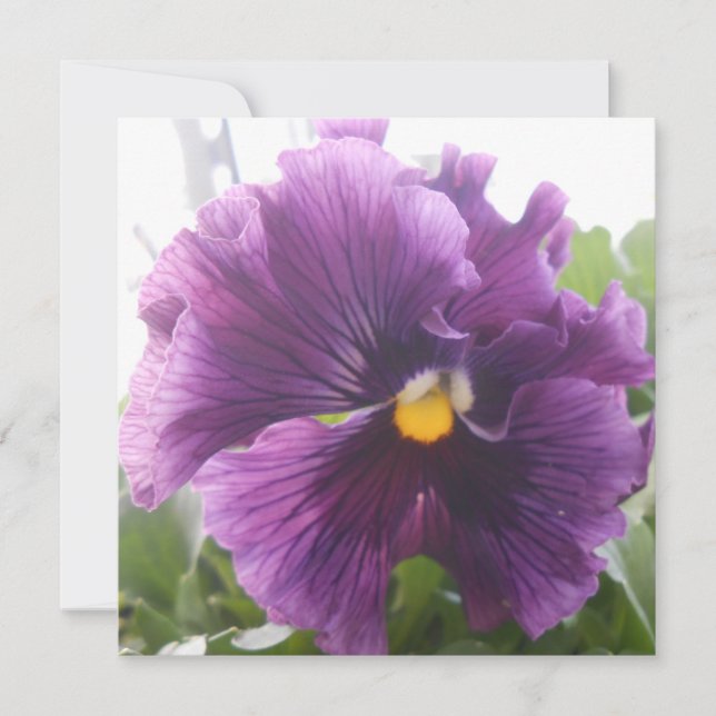 Azul de Mechteld (Anverso)