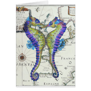 Azul del Seahorse