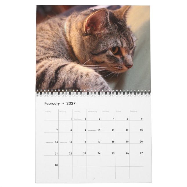 Azul el gato - Calendario 2021 (Feb 2027)