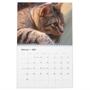 Azul el gato - Calendario 2021