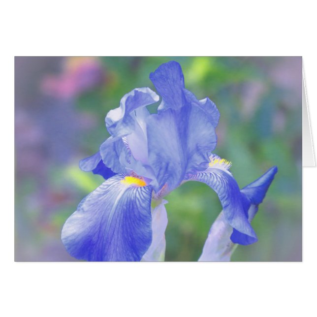 Azul en colores pastel - iris (Anverso (Horizontal))