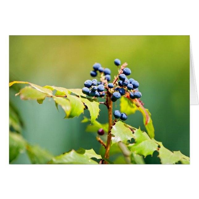 Azul II (Anverso (Horizontal))