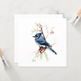 Azul Jay Bird Watercolor