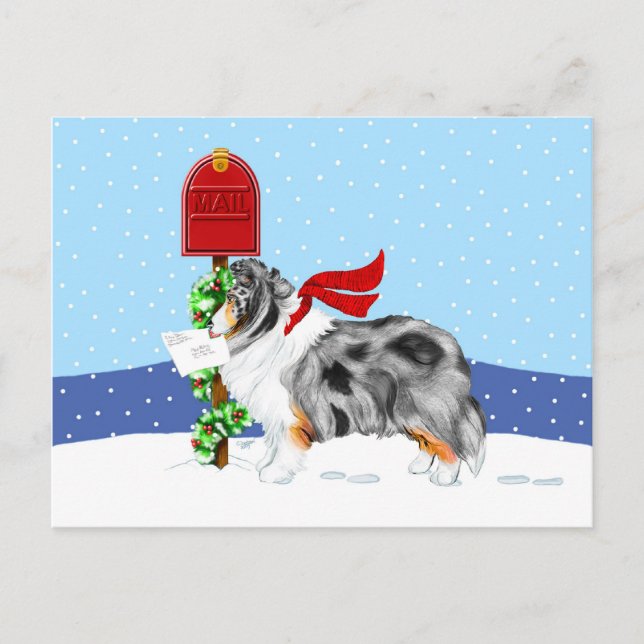 Azul Merle del correo del navidad de Sheltie (Anverso)