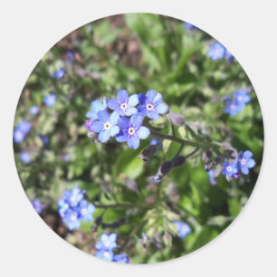 Azul Olvídame No Pegatinas