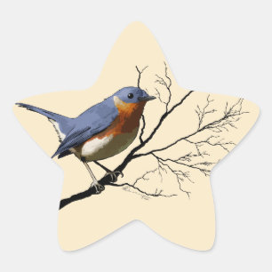 Azul pájaro pequeño, pegatinas