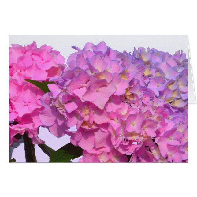 Azul rosa Hydrangeas flores púrpura elegantes (Anverso (Horizontal))