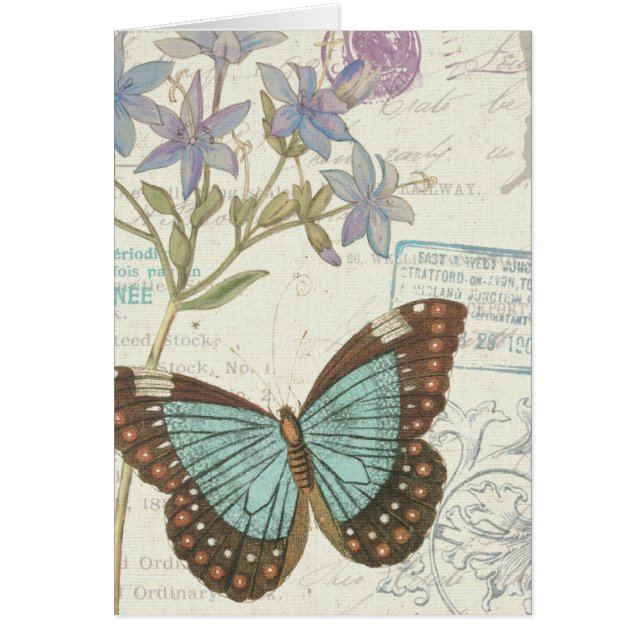 Azul y mariposa de Brown (Frente)