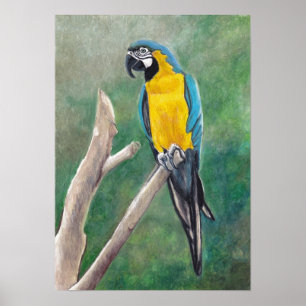 Azul y poster del arte del pájaro del Macaw del
