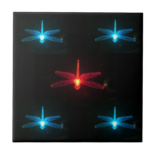 Azul y teja roja de las libélulas que brilla