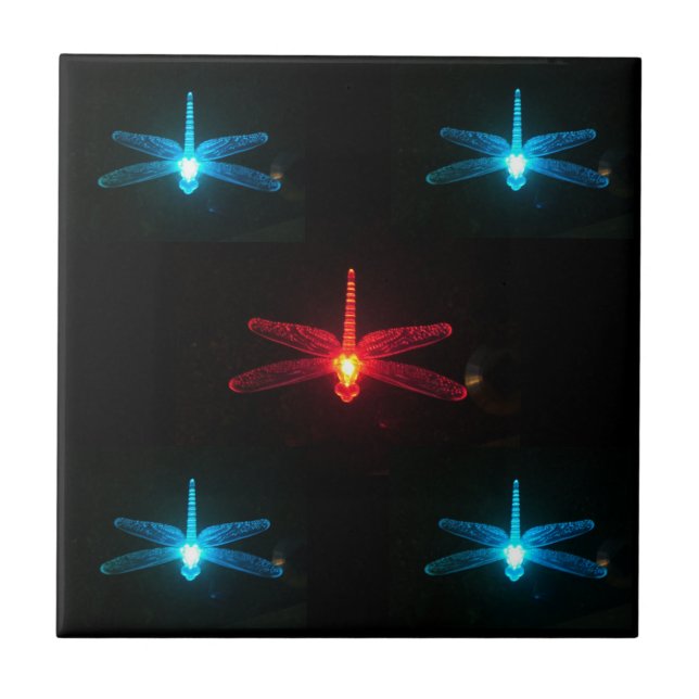 Azul y teja roja de las libélulas que brilla (Frente)