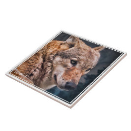 AZULEJO オ オ カ ミ タ ル