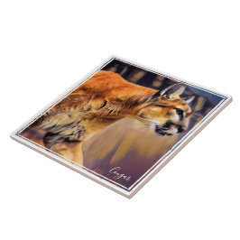 AZULEJO ・ マ タ ル