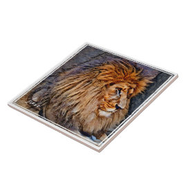 AZULEJO ラ オ ン タ ル