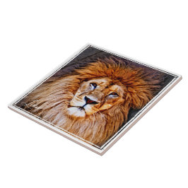 AZULEJO ラ オ ン タ ル