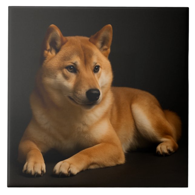 Azulejo 柴犬ポートレート – Shiba Inu Art (Frente)