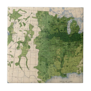 Azulejo 155 maíces/acre