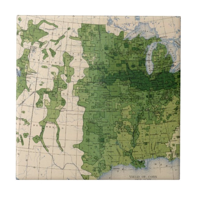 Azulejo 155 maíces/acre (Frente)