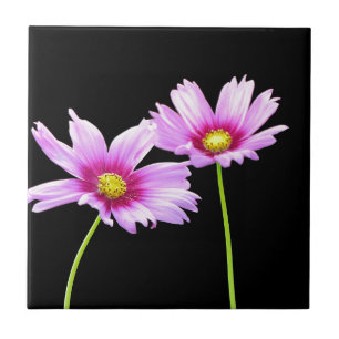 Azulejo 2 Cosmos