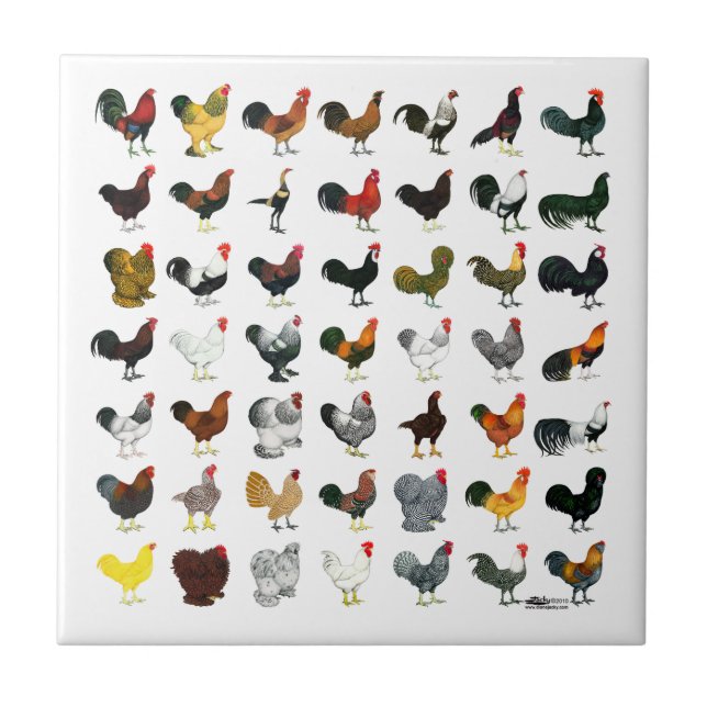 Azulejo 49 gallos (Frente)