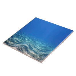 Azulejo A03 DSCN5636Underwater Blue Ocean