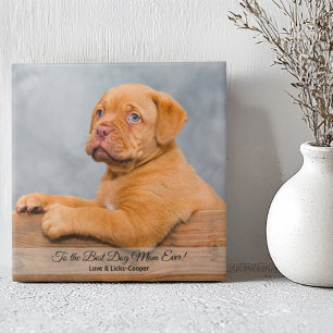 Azulejo A la mejor madre del perro Personalizado foto y te