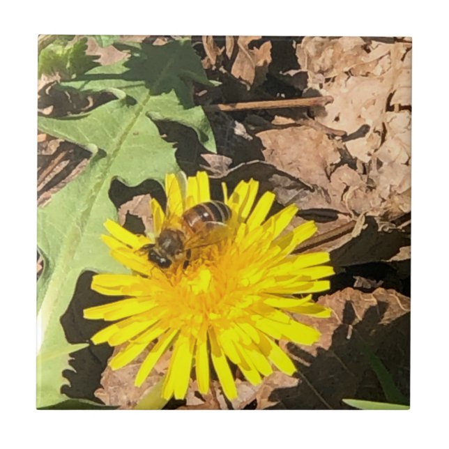 Azulejo Abeja (Frente)