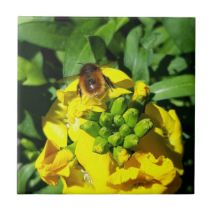 Azulejo Abeja a las flores amarillas