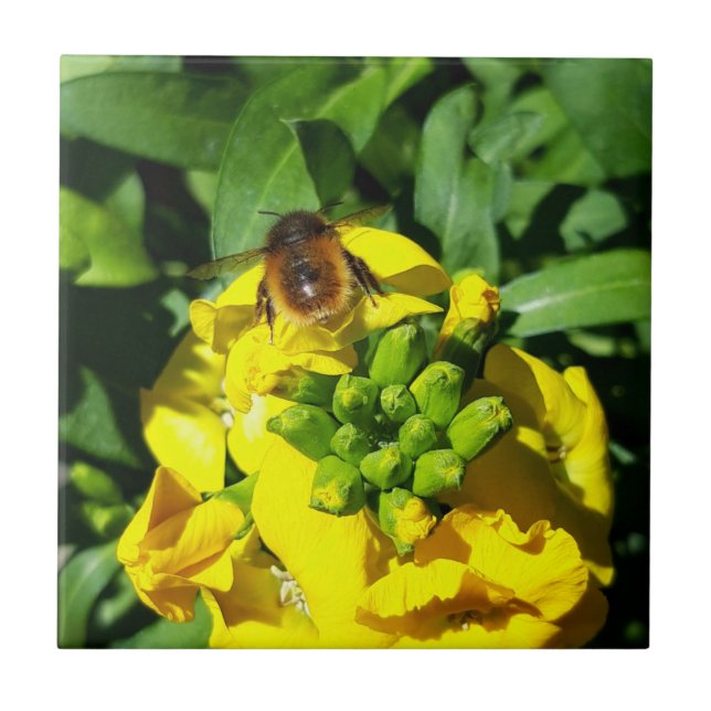 Azulejo Abeja a las flores amarillas (Frente)