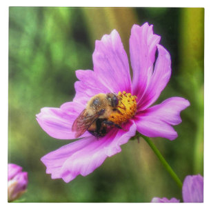 Azulejo Abeja de burbujas en cosmos rosados