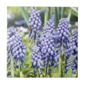 Azulejo Abeja en las flores del Muscari