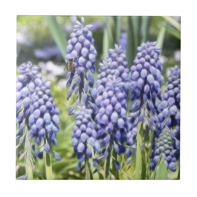 Azulejo Abeja en las flores del Muscari (Frente)