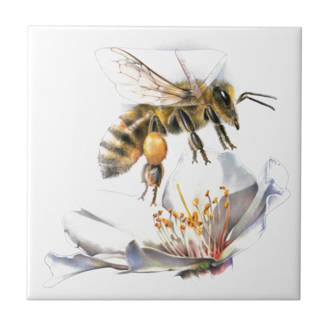 Azulejo Abeja en una flor (Frente)