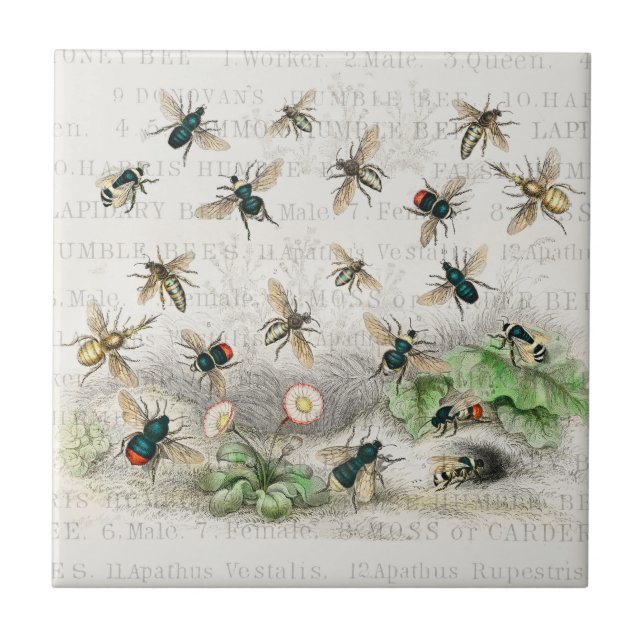 Azulejo Abeja Miel Trabajador Reina Abejas Antigüo (Frente)
