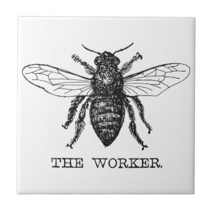 Azulejo Abeja Obrera Miel Abejorro Negro