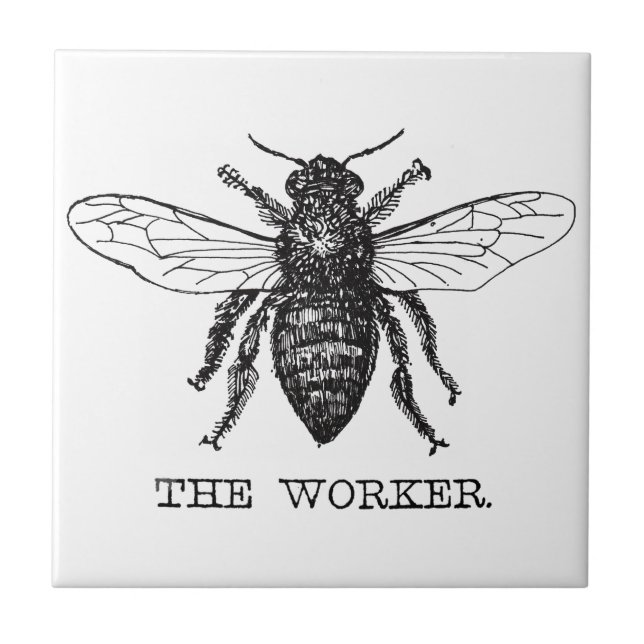 Azulejo Abeja Obrera Miel Abejorro Negro (Frente)