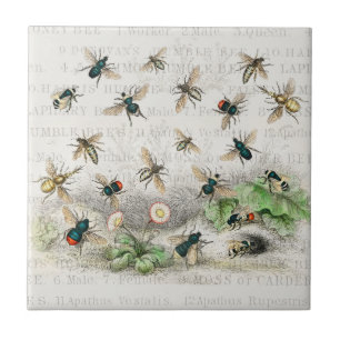 Azulejo Abeja Reina Entomología Botánica Vintage