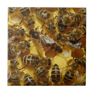 Azulejo Abejas de la miel en colmena con la reina en