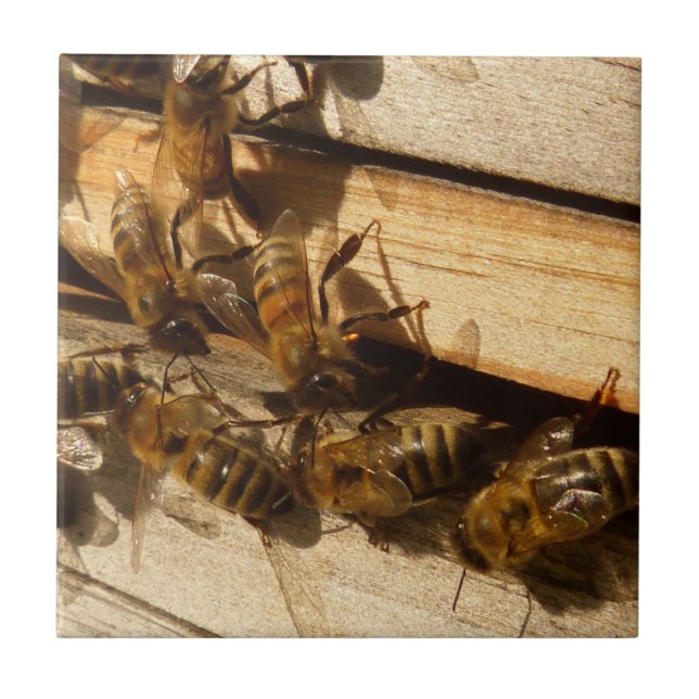 Azulejo Abejas de miel (Frente)