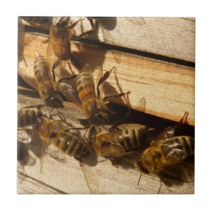 Azulejo Abejas Melíferas