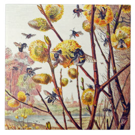 Azulejo Abejas Vintage Insecan Flor Willow Spring