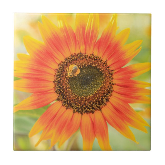Azulejo Abejorro en girasol, Jardín Comunitario (Frente)