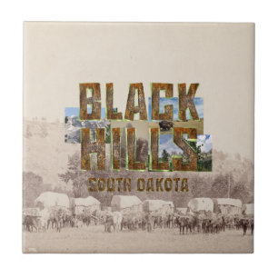 Azulejo ABH Black Hills