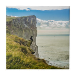 Azulejo Acantilados de Latrabjarg, Islandia