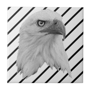Azulejo Aceite de pintura de la cara de águila calva,